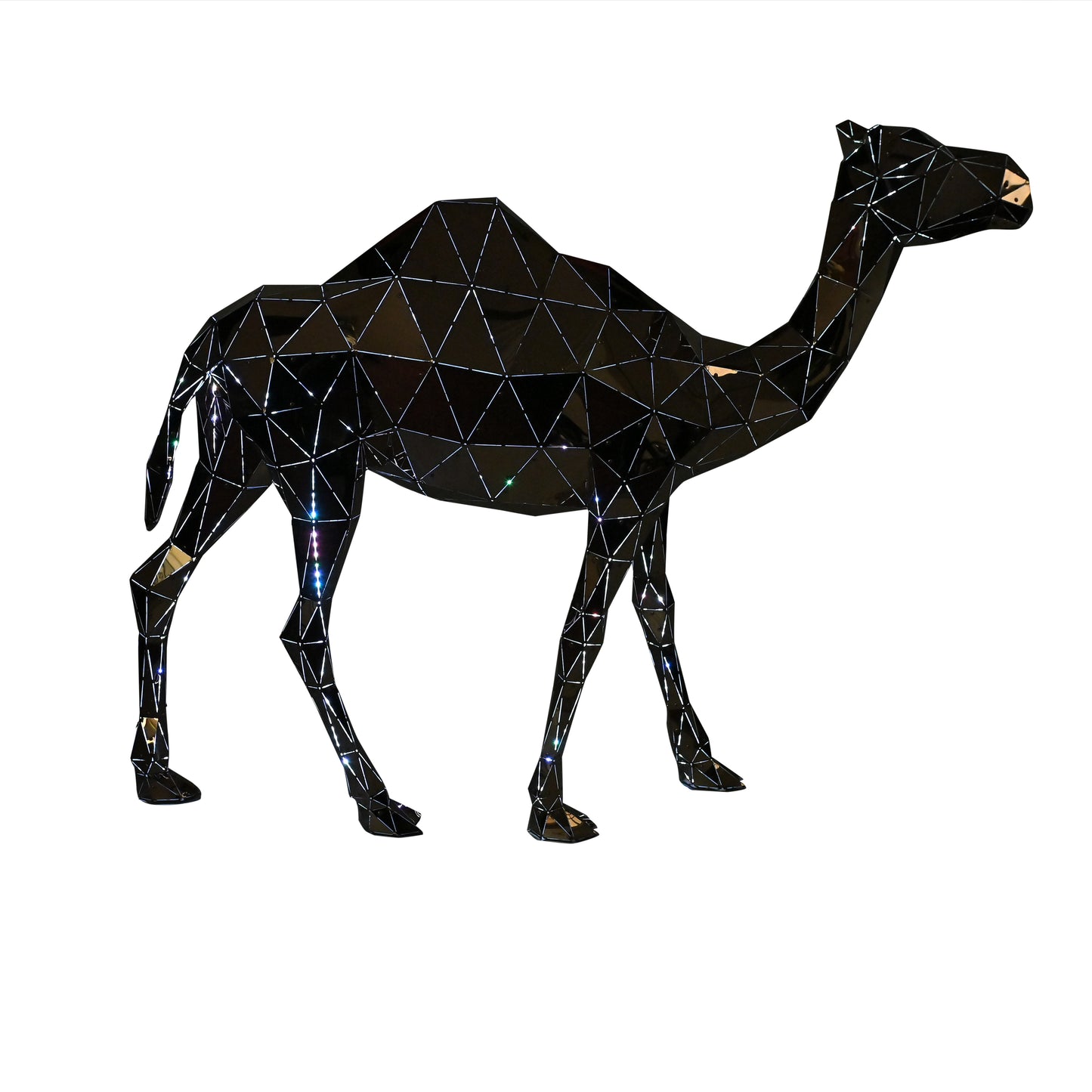 Camel